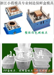 酸菜鱼盒模具 塑胶餐盒模具 专业生产